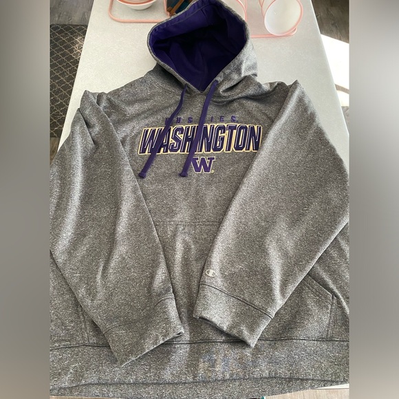 Adult XL Champion University of Washington Huskies hoodie - Picture 1 of 7